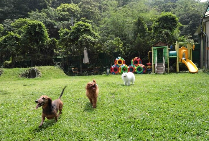 台北寵物友善景點