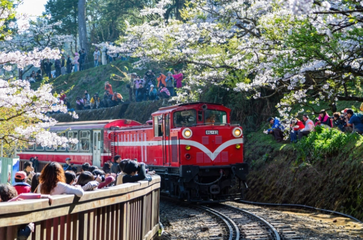 阿里山開車行程