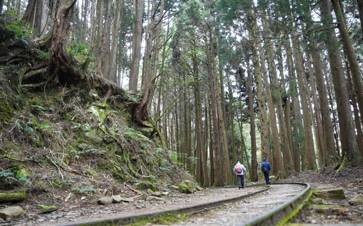 阿里山 步道 帶狗