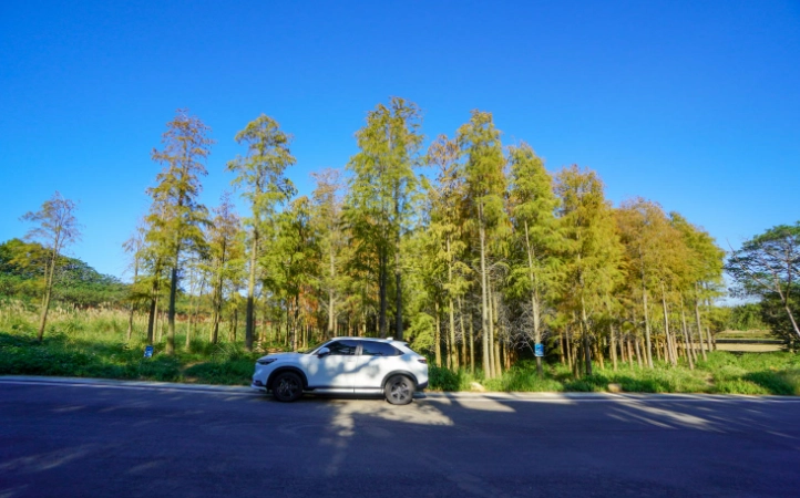 楊梅一日遊拍照