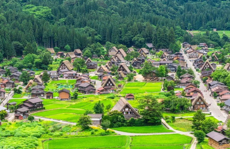 台灣到合掌村交通