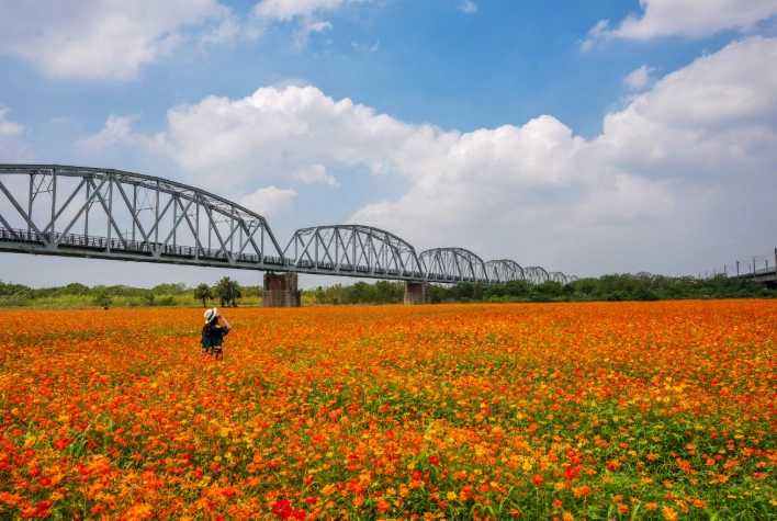 下淡水溪鐵橋 歷史