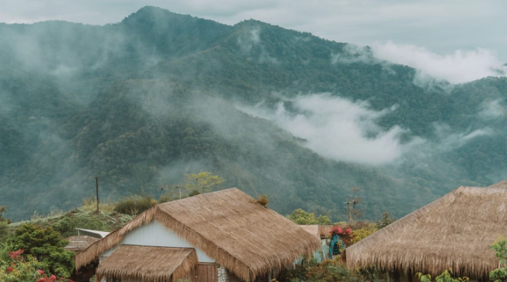 阿里山森林遊樂區寵物