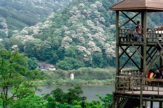 西湖渡假村門票