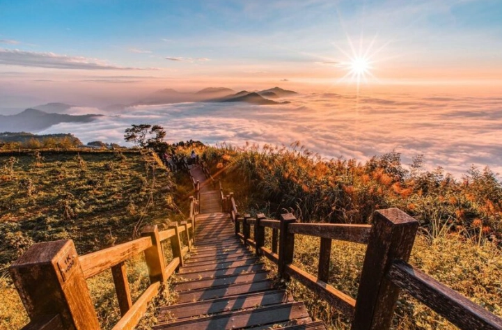 阿里山寵物友善