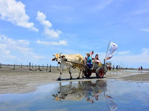 彰化王功採蚵體驗