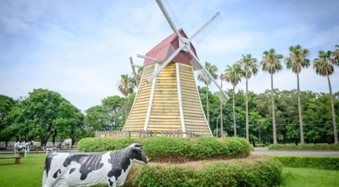 楊梅一日遊拍照