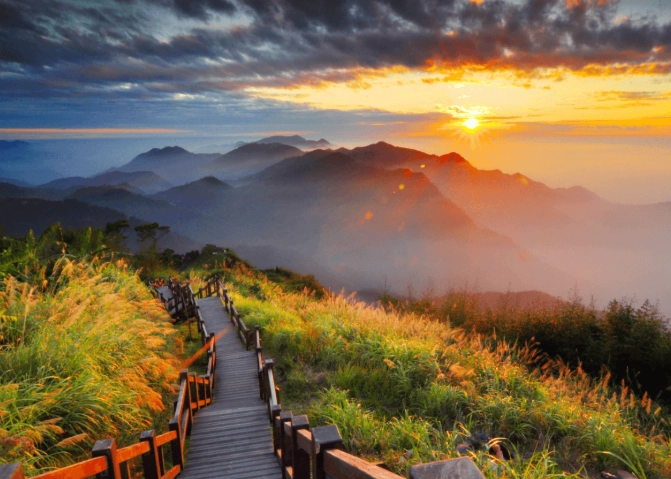 阿里山寵物友善