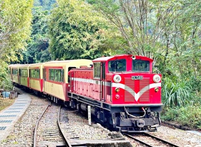 阿里山森林遊樂區開車