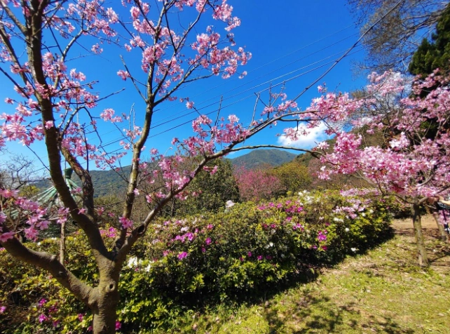 台灣北部自由行