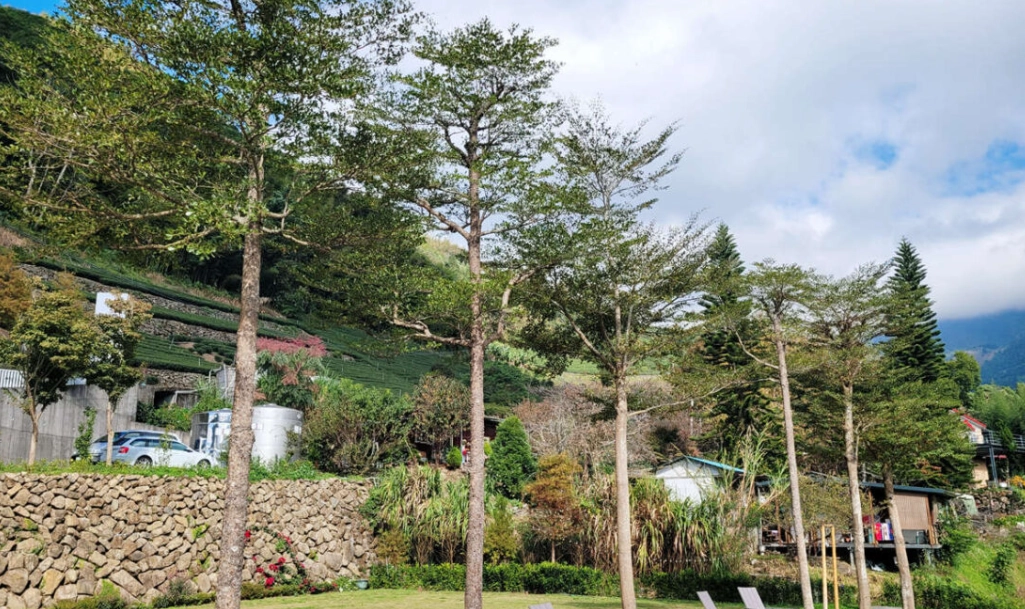 阿里山住宿推薦