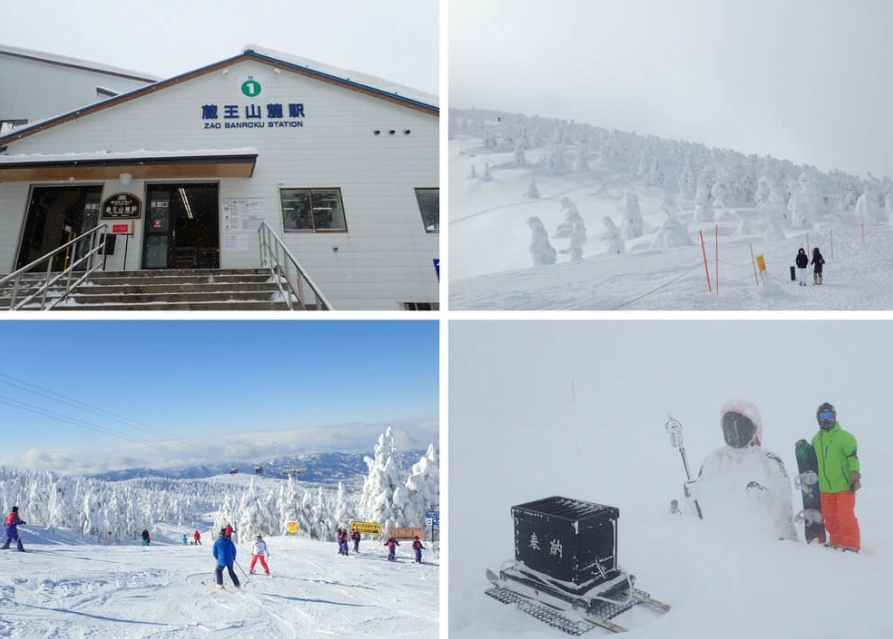藏王滑雪場住宿