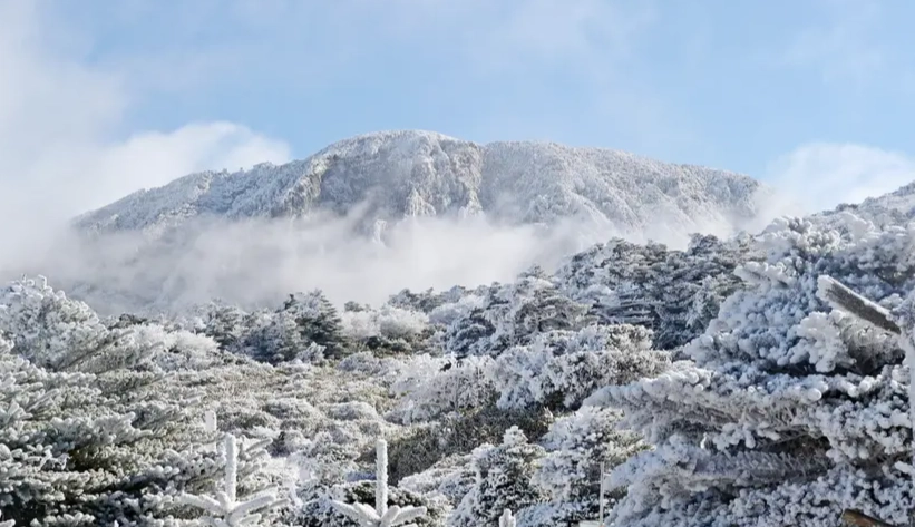 漢拏山雪季全攻略：交通、景點、住宿與避坑指南