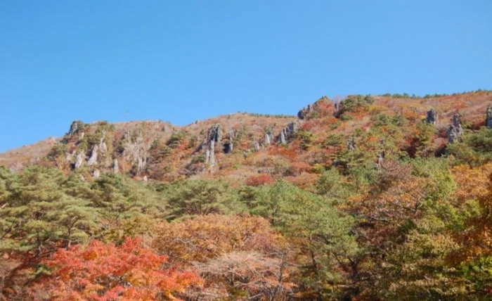 漢拿山靈室路線