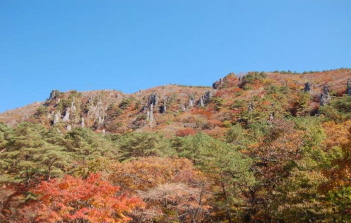 漢拿山靈室路線全攻略：登山時間、交通、裝備與新手必看指南