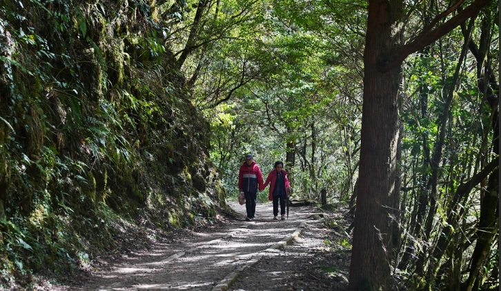 特富野古道可以帶狗嗎