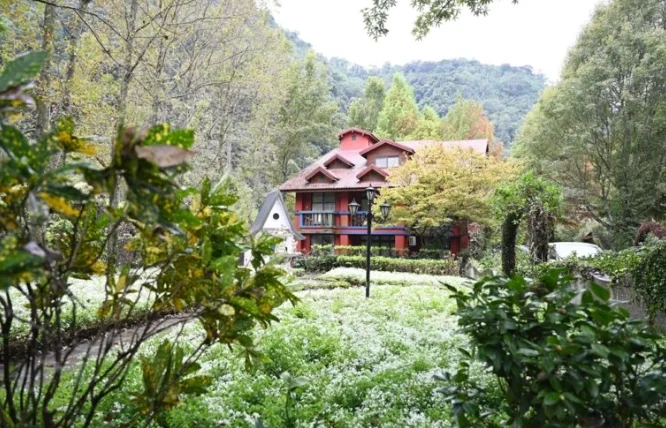 清境兩天一夜親子