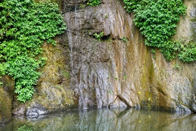 知本林道瀑布怎麼走