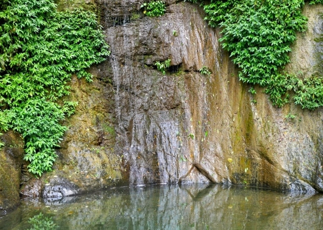 知本林道瀑布怎麼走？開車、步行、大眾運輸全攻略