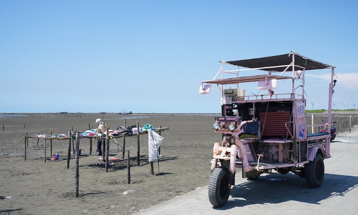 王功採蚵體驗完整指南：潮間帶生態、行程規劃與必吃美食