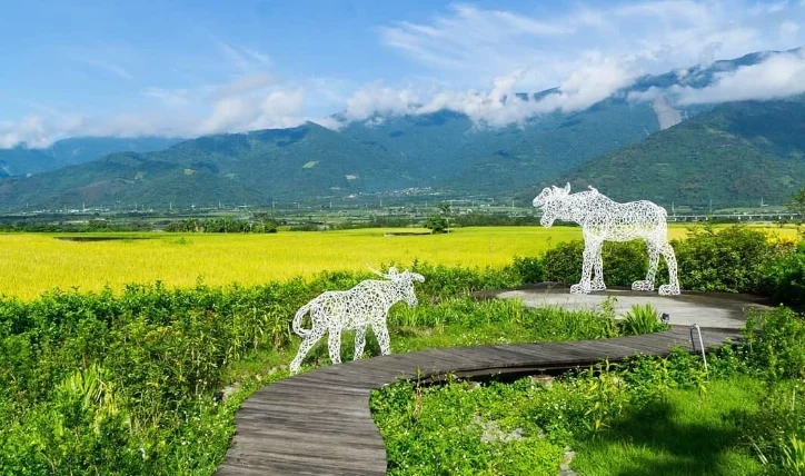 花東縱谷怎麼玩