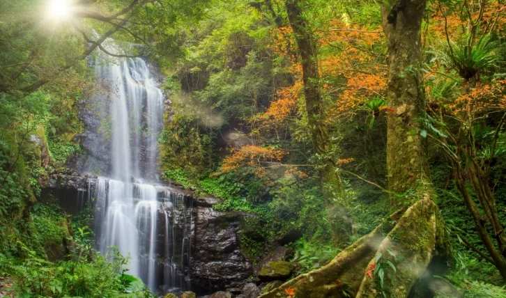 三峽有什麼山可以爬