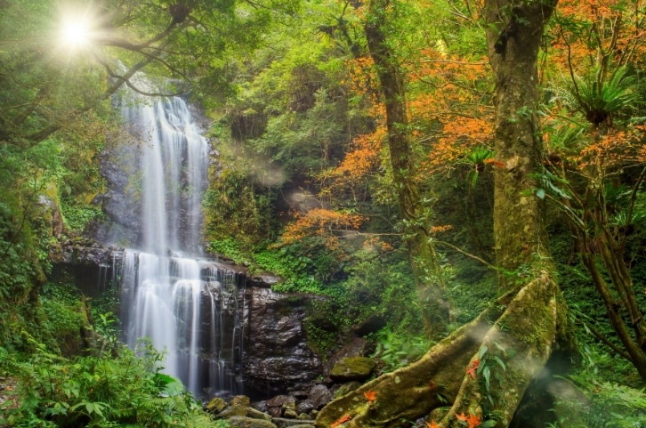 三峽登山步道全攻略：5條必爬山路與實用技巧