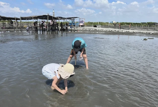 王功漁港挖蛤蜊