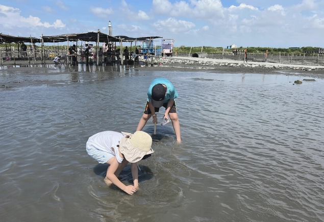 王功漁港挖蛤蜊全攻略：潮汐時間、工具準備到美味料理一次搞懂