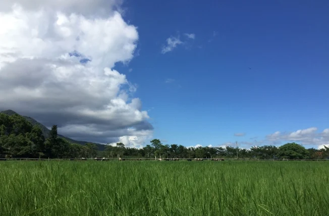 花蓮兩天一夜行程規劃