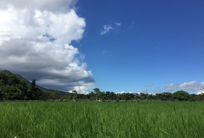 花蓮兩天一夜行程規劃：山海美景與在地美食全攻略