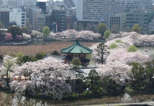 上野恩賜公園交通