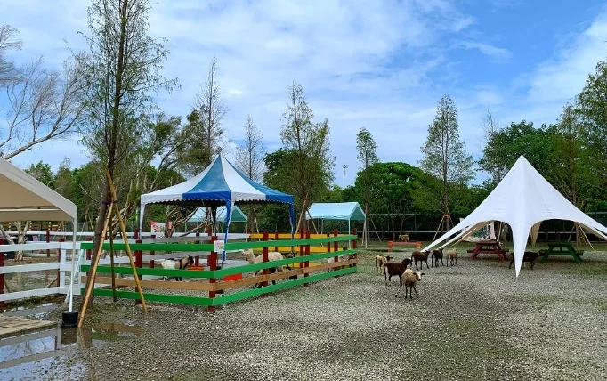 阿里山寵物友善景點