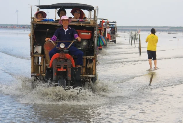 王功採蚵車推薦