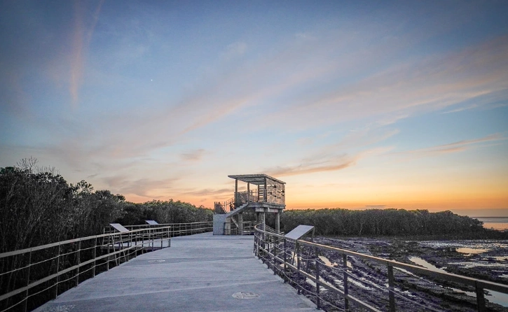 芳苑海空步道附近景點全攻略：潮間帶、濕地與夕陽秘境一次收藏