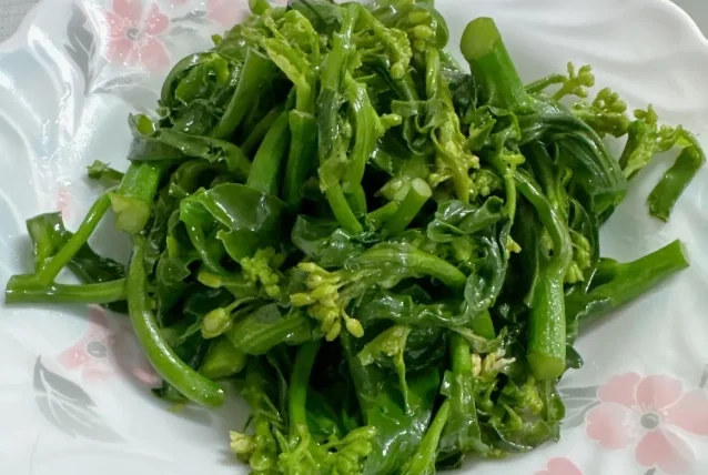 狗可以吃芥蘭菜嗎