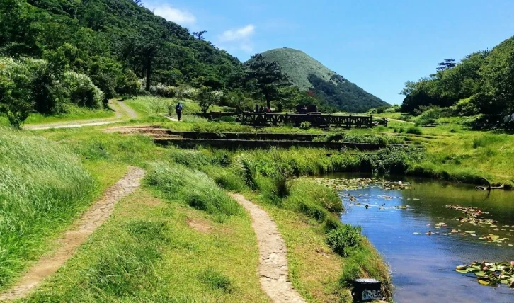 北部一日遊開車