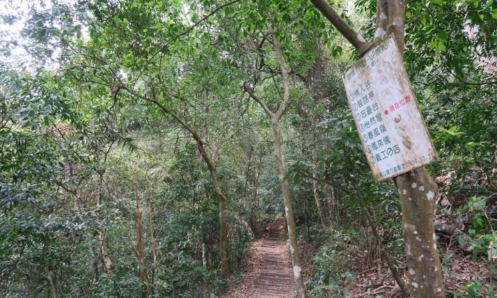 鳴鳳古道附近景點