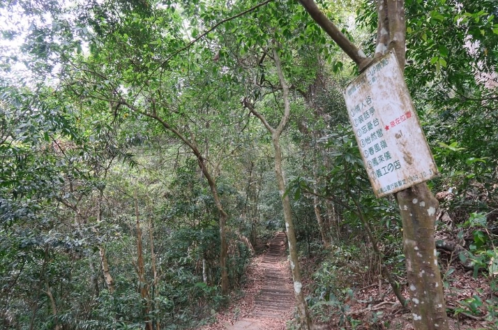 探索鳴鳳古道：周邊五大必訪景點與完整行程攻略