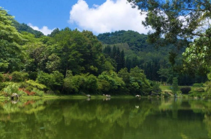 雨天不掃興！中南部室內景點、觀光工廠、美食市集全攻略