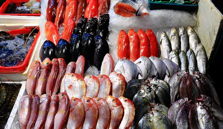 龜吼漁夫市集推薦